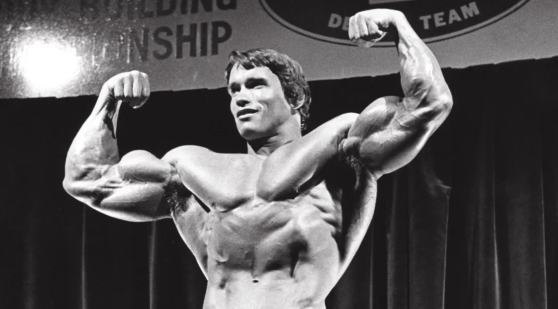 Arnold Schwarzenegger training and supplement routine