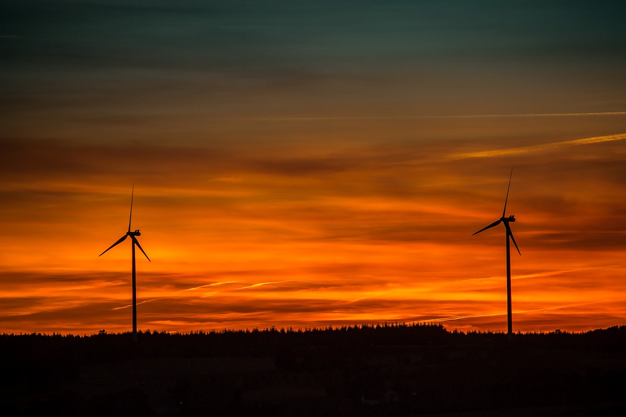 Evening Wind-Down