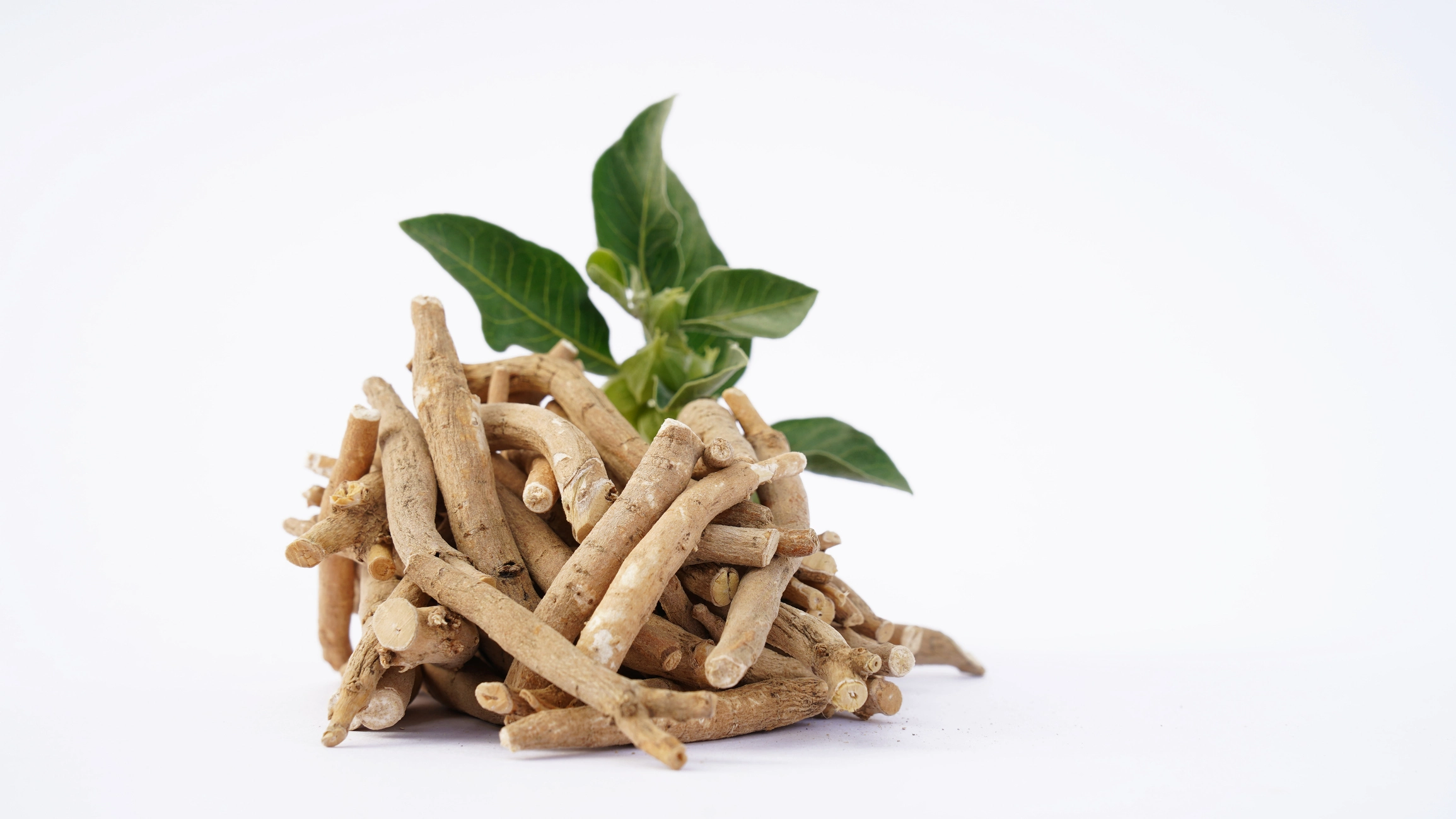Ashwagandha Benefits for Skin