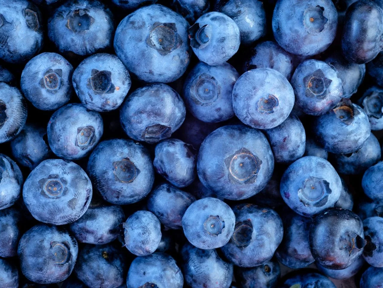 Blueberries