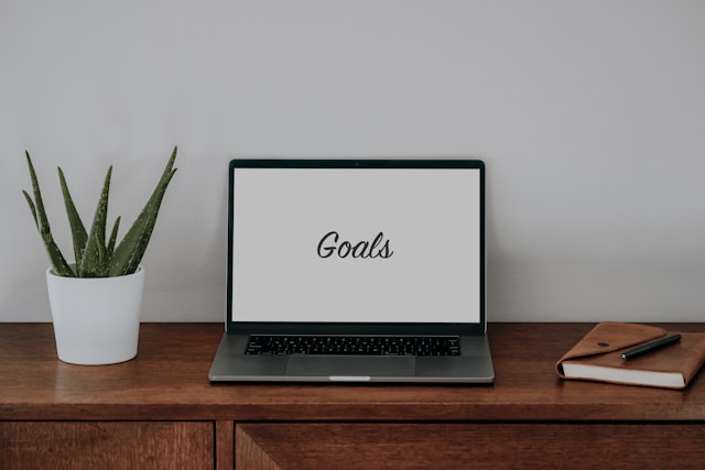 Bryan Johnson's macro goals on a laptop