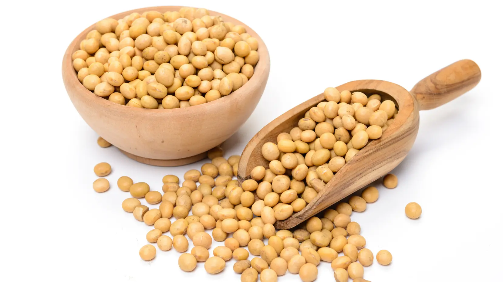 Soy
