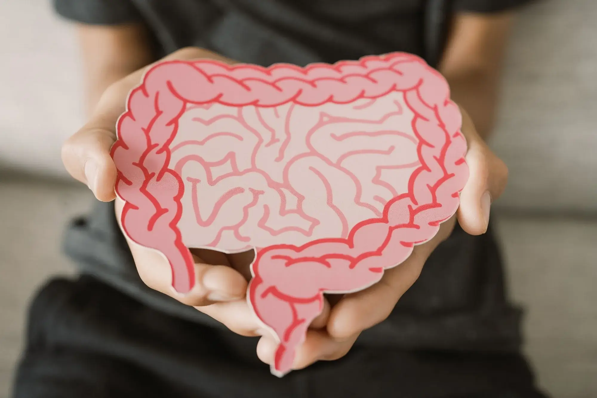The Role of Gut Health in Overall Wellness