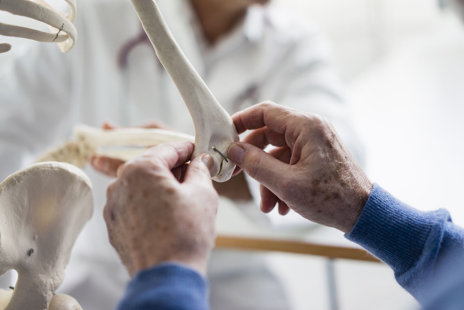 What Are the Two Types of Bone Marrow