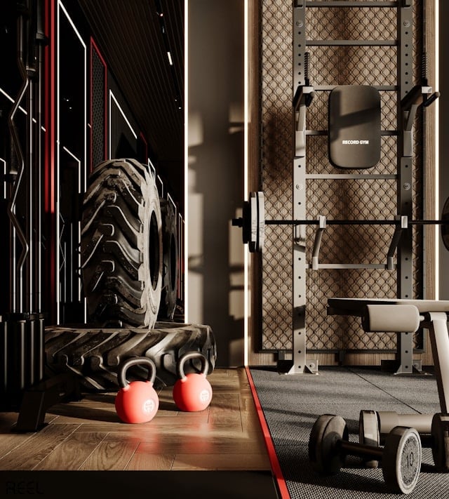 Equipment for Sam Sulek's back workout